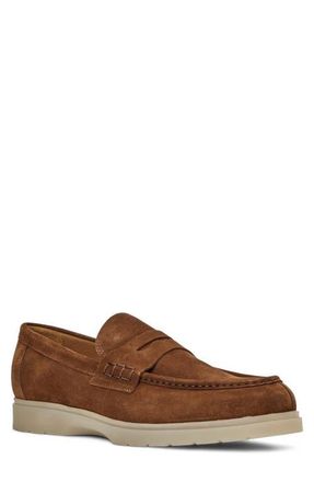 Aquatalia Timothy Penny Loafer in Cognac Suede at Nordstrom, Size 10.5