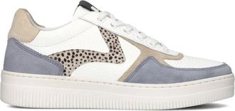 Maruti Schoenen, Dames, Veelkleurig, 39 EU, Leer, Beige en Blauwe Sneakers Momo