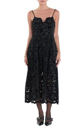 endless rose Velvet Lace Midi Dress in Black at Nordstrom, Size X-Small