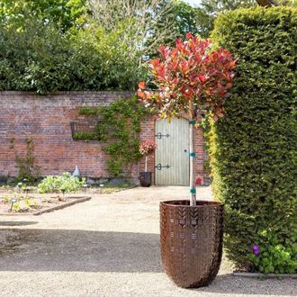 PRIMROSE Textured Glazed Terracotta Planter In Glossy Coffee Brown 50cm
