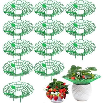 OEM Juego De 12 Soportes (verdes) Para Fresas, Soportes Para Plantas De Fresa, Fresas Peque&ntilde;as Maduras, Soportes De Red Para Plantas De Fresa De Balc&oacute;n, P