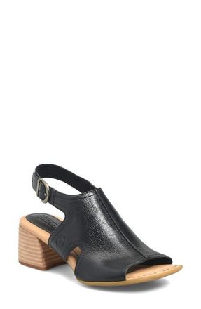 B&oslash;rn Swinton Ankle Strap Sandal in Black Leather at Nordstrom, Size 11