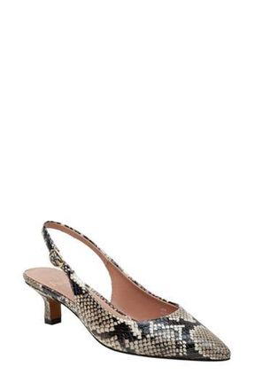 Linea Paolo Cecil Slingback Pointed Toe Kitten Heel Pump in Natural at Nordstrom Rack, Size 8