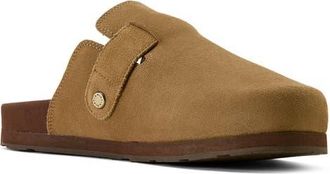 Ariat Country Mule in Brown at Nordstrom, Size 10.5