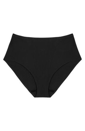 Triumph Shape Smart Shaping Panties in Black at Nordstrom, Size X-Large