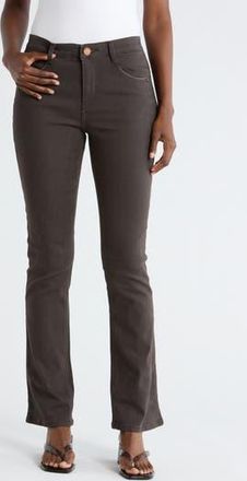 Democracy AbSolution High Waist Itty Bitty Bootcut Jeans in Espresso at Nordstrom Rack, Size 14