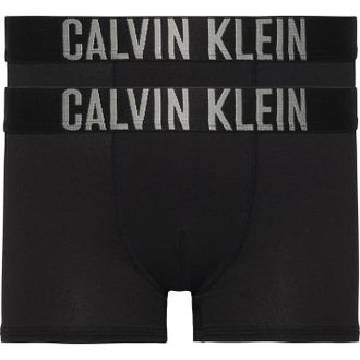 Calvin Klein Boxershorts voor heren (Set van 2) (Zwart)