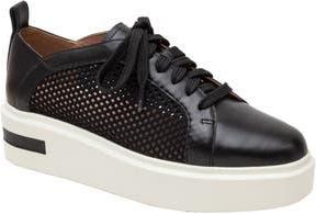 Linea Paolo Kosta Platform Sneaker in Black at Nordstrom Rack, Size 9.5