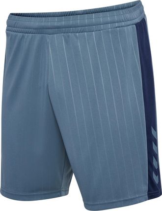Hummel hmlPULSE STRIPE BLOCKED SHORTS