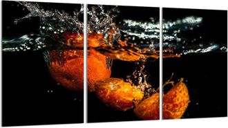 OEM Placa Protectora De Vidrio Para Estufa 3x30x52