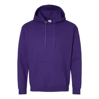 Hanes Ecosmart Hooded Sweatshirt