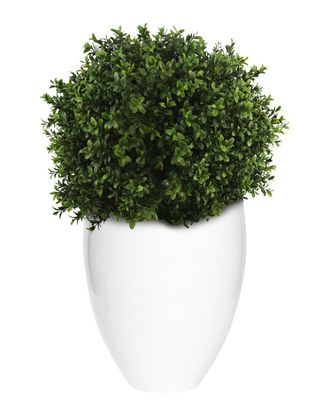 Creative Displays Inc. Uv-Rated Outdoor Boxwood Topiary With Fiberstone Planter