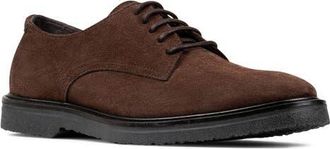 Donald J Pliner Mikie Derby in Dark Brown at Nordstrom, Size 10.5