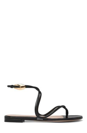 Gianvito Rossi Jungle Mamba Flat Sandals in Black at Nordstrom, Size 35.5