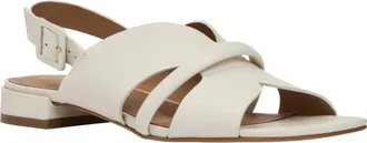 Andr&eacute; Assous Journee Slingback Sandal in Vanilla at Nordstrom, Size 7.5