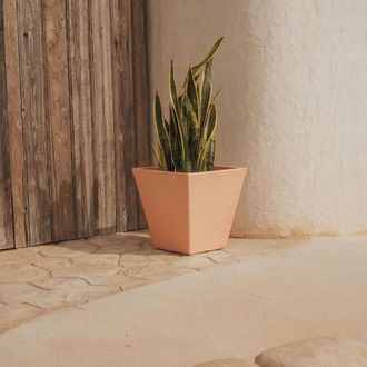OEM Camomila R&uacute;stica Macetero Cuadrado De Interior Y Exterior Para Plantas Y Flores Muy Resistente Al Paso Del Tiempo. Hecho De Polietileno En Espa&ntilde;a - Te