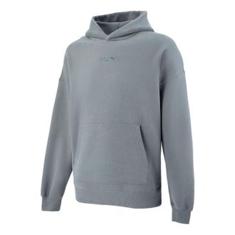 Puma Small Logo Hoodie Grey 534364-44