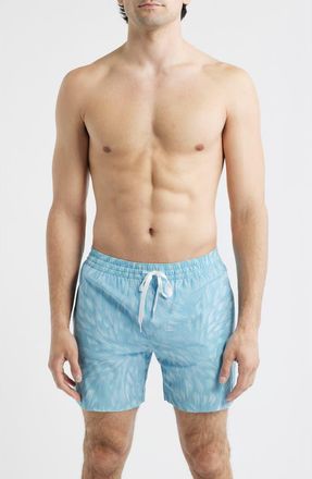 Chubbies The Turquoise Tides 5.5-Inch Swim Trunks in Turquoise/Aqua at Nordstrom, Size Medium