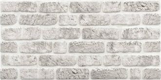 vidaXL Paneles De Pared 10 Uds. 100 X 50 Cm Gris Claro Espuma Eps Vidaxl