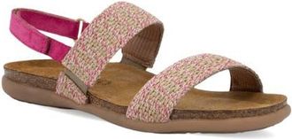 Naot Dylan Slingback Sandal in Pink Fuchsia/Pink at Nordstrom, Size 11Us