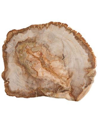Fortessa 12In Petrified Wood Platter