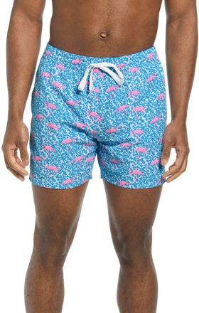 Chubbies Classic Lined 5.5-Inch Swim Trunks in Bright Blue - Solid at Nordstrom, Size Xx-Large