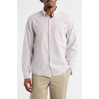 Dickies Gallatin Ticking Stripe Cotton Button-Down Shirt in Egret at Nordstrom, Size Xx-Large