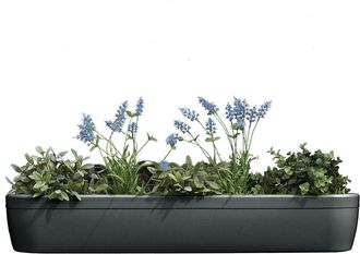 Rephorm Blumenkasten Windowgreen 85 cm - Graphit