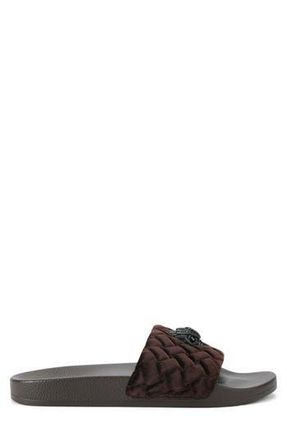 Kurt Geiger Meena Eagle Head Slide Sandal in Dark Brown at Nordstrom Rack, Size 10.5