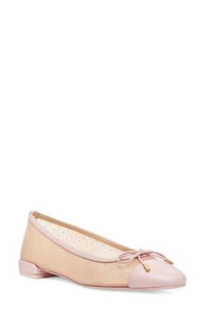 Stuart Weitzman Sleek Cap Toe Bow Flat in Rosewater/ballet at Nordstrom Rack, Size 6.5