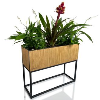 OEM Soporte Para Flores Fiorino De Roble Para Desv&aacute;n, 62 X 22 X 50 Cm