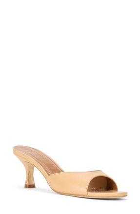 Staud Brigitte Slide Sandal in Porcini at Nordstrom, Size 5.5Us