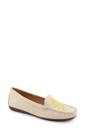 Driver Club USA Nashville Embroidered Loafer in Cream Nubuck at Nordstrom Rack, Size 10
