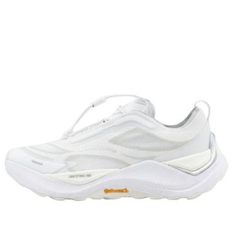 adidas Holo Peak White Grey KI1521