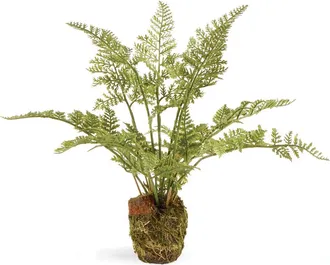 Napa Home & Garden Soft Fern Artificial Drop-In 8.5 in Green at Nordstrom