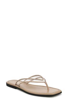 Veronica Beard Clea Flip Flop in Clear/sand at Nordstrom, Size 10
