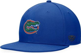 Top of the World Mens Top of the World Royal Florida Gators Fitted Hat at Nordstrom, Size 7 1/4