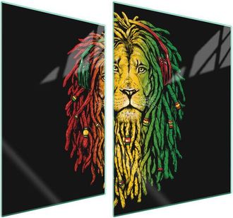 OEM Placa Protectora De Vidrio Para Estufa 70x52 Lew