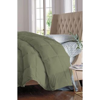 Luxury Home Microfiber Alternative Plush Comforter in Sage at Nordstrom Rack, Size Queen