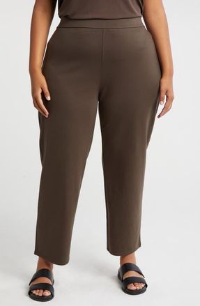 Eileen Fisher Stretch Ankle Straight Leg Pants in Wren at Nordstrom, Size 2X
