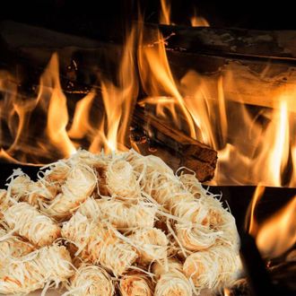 vidaXL Accendifuoco bio 10 kg - Vidaxl