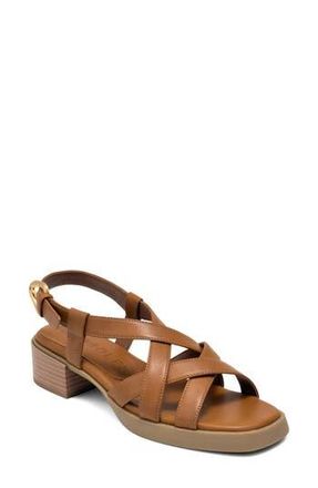 Aerosoles Daily FX Slingback Sandal in Tan at Nordstrom Rack, Size 6.5