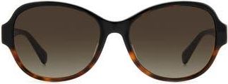 Kate Spade New York addilynn 57mm gradient round sunglasses in Black Havana/Brown Gra at Nordstrom Rack