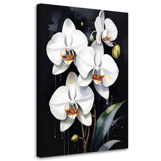 Feeby Cuadro Sobre Lienzo Orqu&iacute;deas Blancas Flores Plantas Naturaleza 70x100