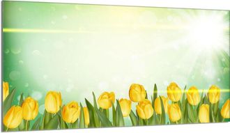 OEM Protector De Cristal Para Encimera 90x52 Tulipanes