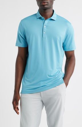 Johnnie-O Birdie Classic Fit Performance Polo in Haze at Nordstrom, Size X-Large