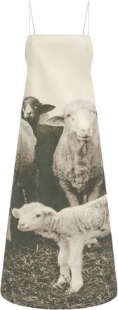 Moschino Kleedjes, Dames, Veelkleurig, XL, Katoen, Jurk van katoenen gabardine met print