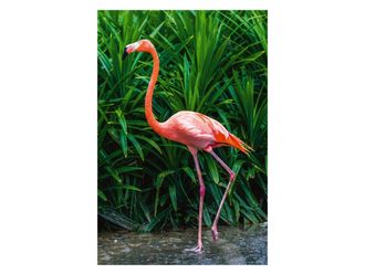 Schubiger M&ouml;bel Digitaldruck auf Acrylglas Eleganter Flamingo