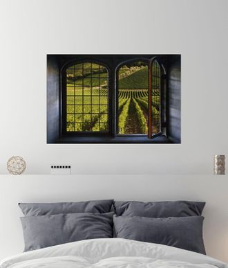 Queence Wandsticker »Weinreben« Wandsticker, Wandbild, selbstklebend, 3D, Fenster