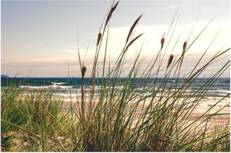 Schubiger M&ouml;bel Digitaldruck auf Glas Seegras